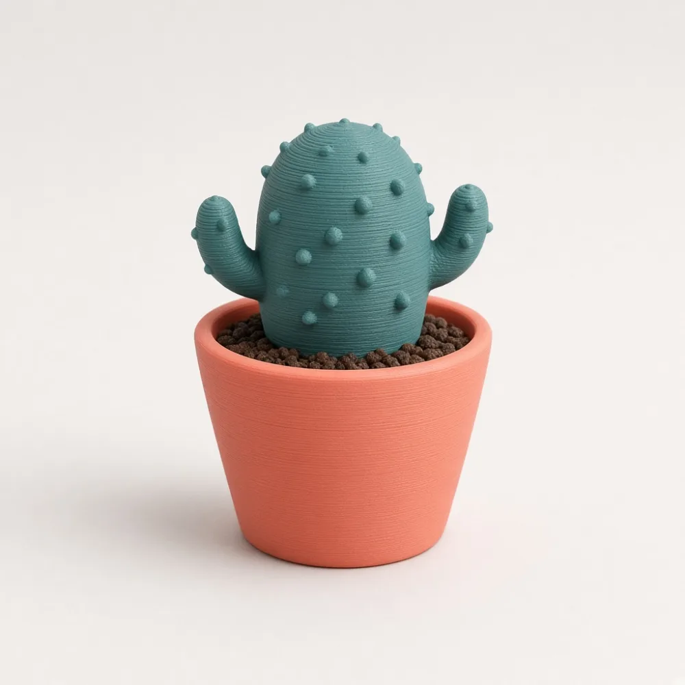 Mini Kaktüs